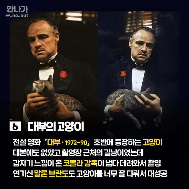 역대급 헐리우드 길거리 캐스팅 7
