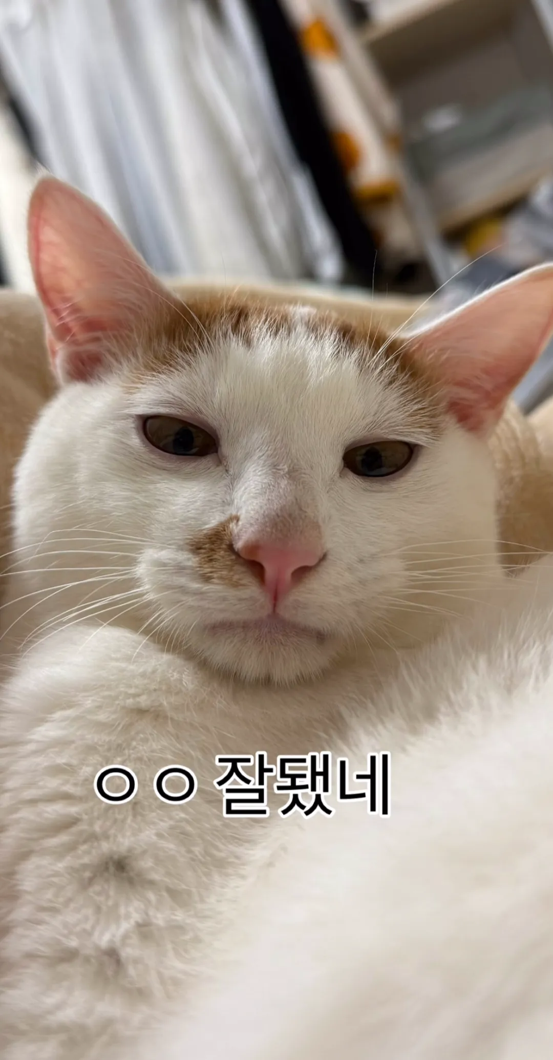 형아! 나 드디어 눈 기증 받게 됐대!
