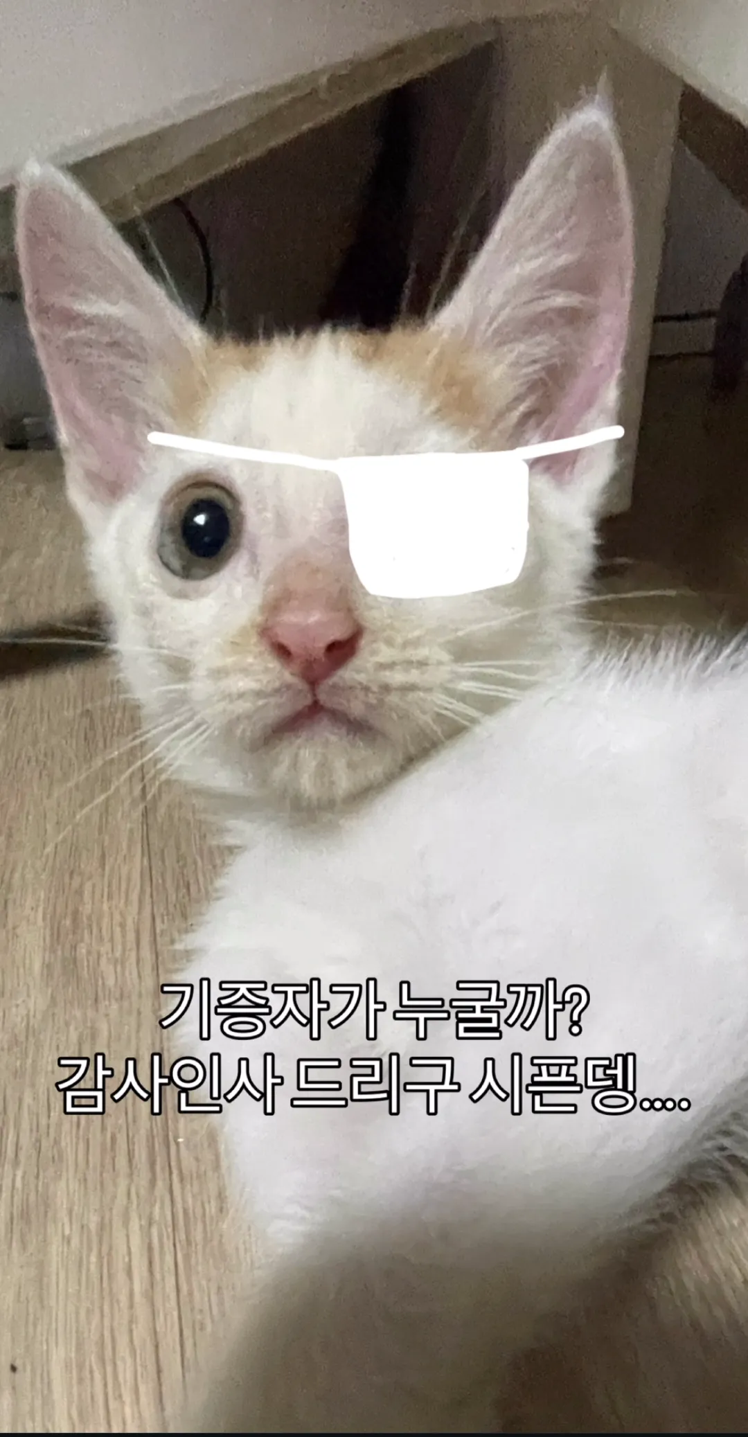 형아! 나 드디어 눈 기증 받게 됐대!