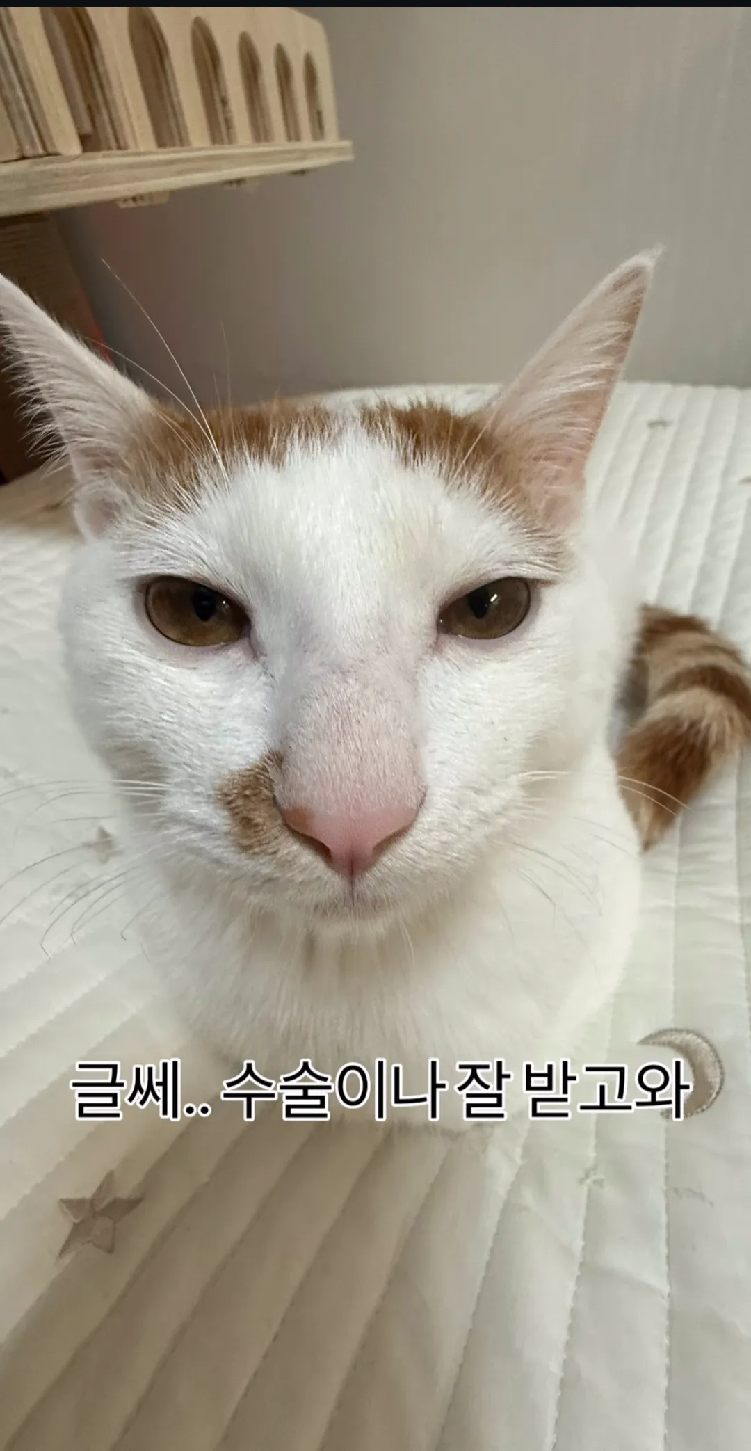 형아! 나 드디어 눈 기증 받게 됐대!