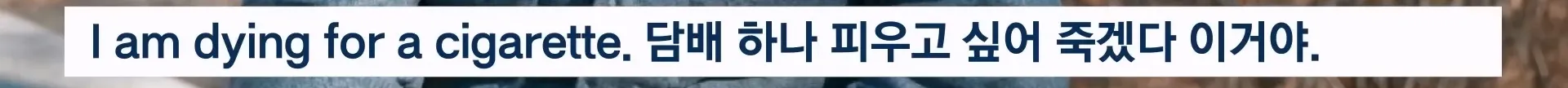 탑골공원 노인 나 같이 쓸모 없는 사람도 온다 탑골공원이 사라진 뒤 인터뷰를 해봄.jpg