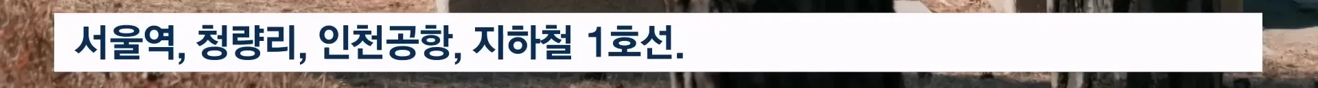 탑골공원 노인 나 같이 쓸모 없는 사람도 온다 탑골공원이 사라진 뒤 인터뷰를 해봄.jpg