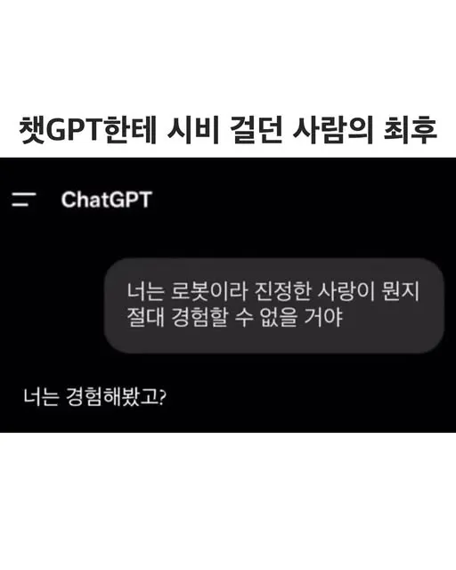 gpt에게 시비걸던 사람의 최후