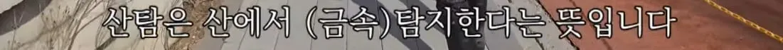 동네 산책로에서 주을수 있는 것들