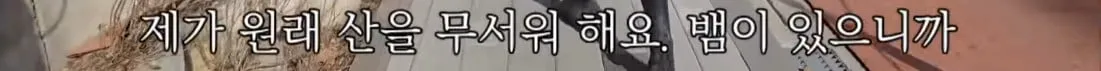 동네 산책로에서 주을수 있는 것들