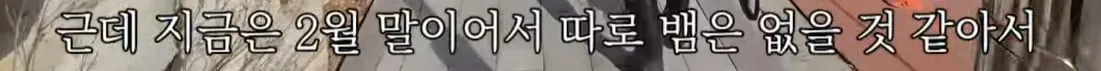 동네 산책로에서 주을수 있는 것들