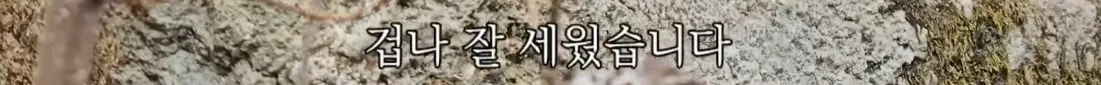 동네 산책로에서 주을수 있는 것들