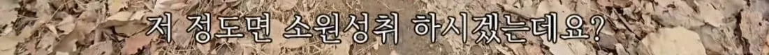 동네 산책로에서 주을수 있는 것들