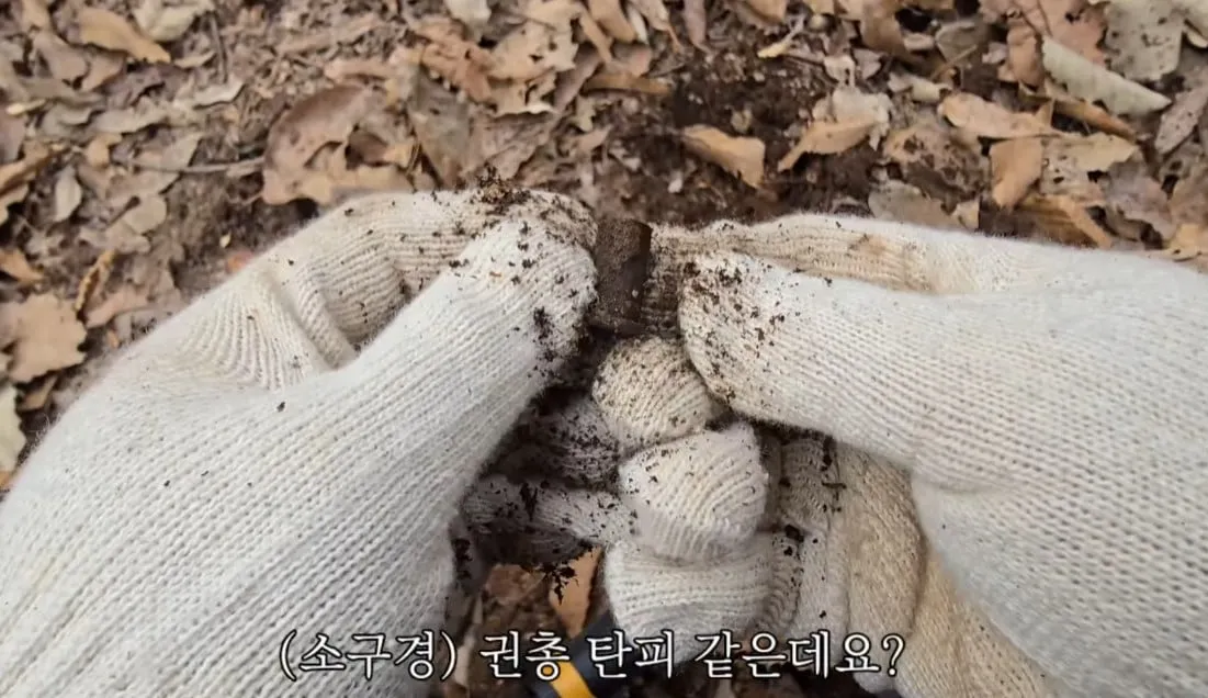 동네 산책로에서 주을수 있는 것들