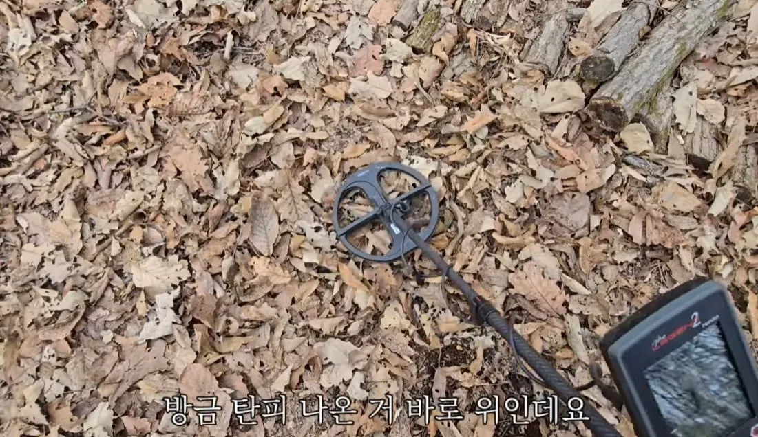 동네 산책로에서 주을수 있는 것들