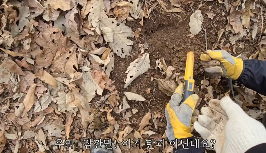 동네 산책로에서 주을수 있는 것들