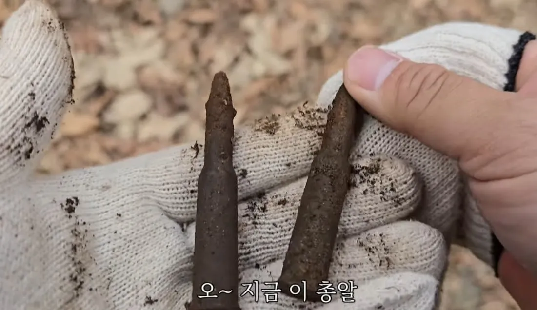 동네 산책로에서 주을수 있는 것들