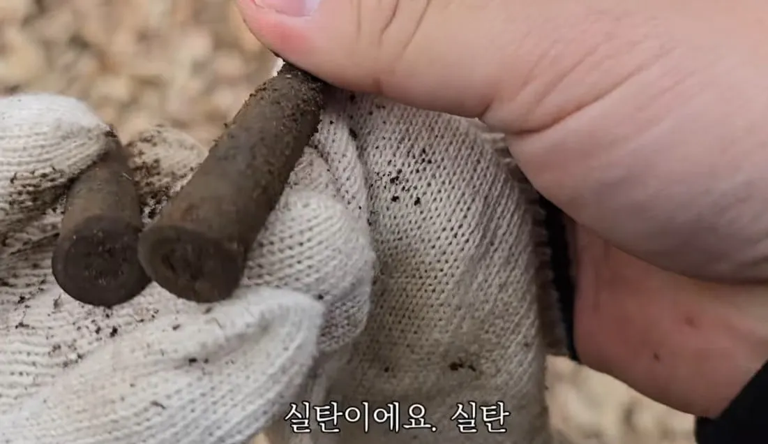 동네 산책로에서 주을수 있는 것들