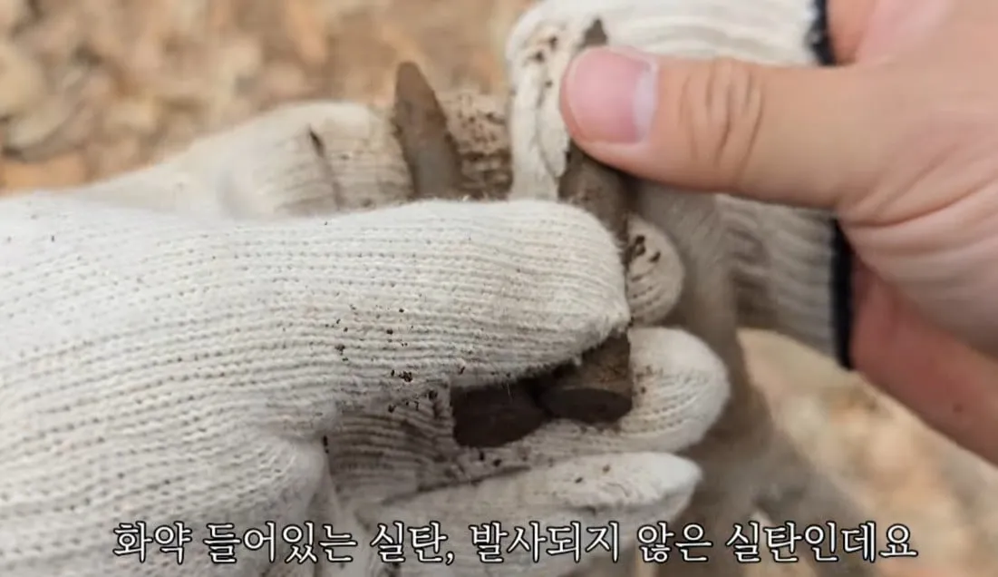 동네 산책로에서 주을수 있는 것들