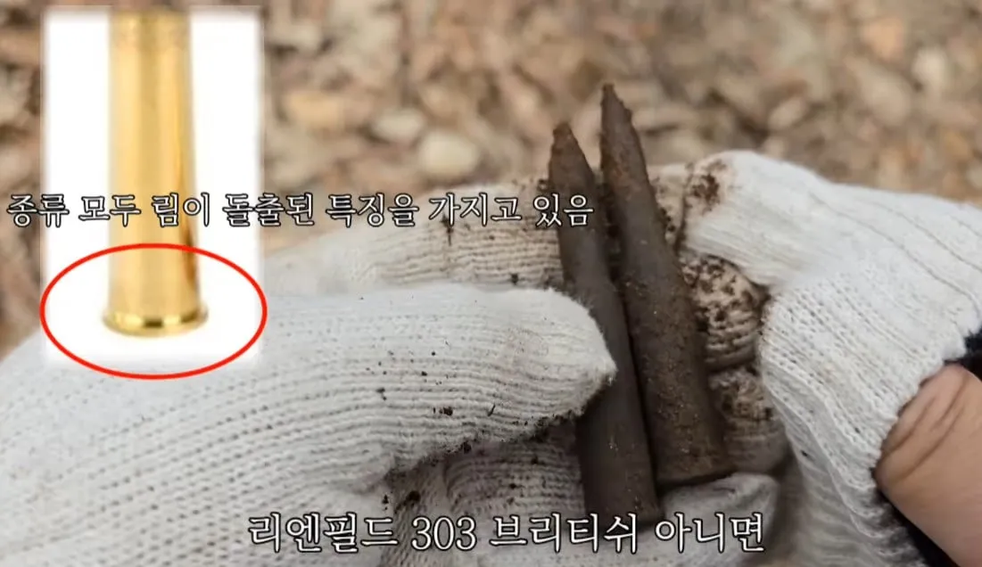 동네 산책로에서 주을수 있는 것들
