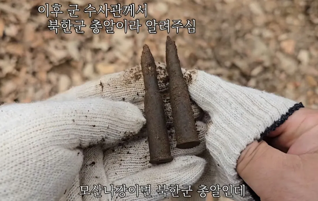 동네 산책로에서 주을수 있는 것들