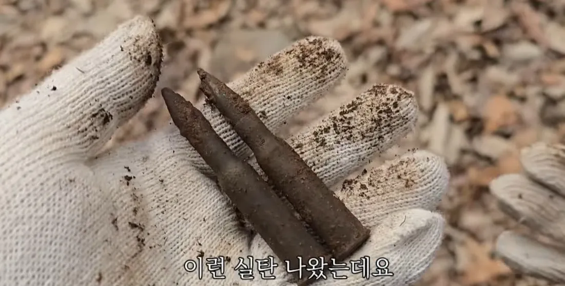 동네 산책로에서 주을수 있는 것들