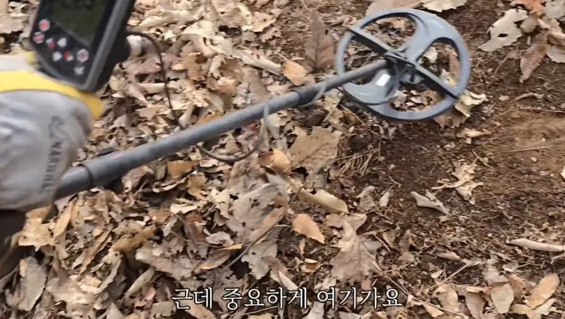 동네 산책로에서 주을수 있는 것들
