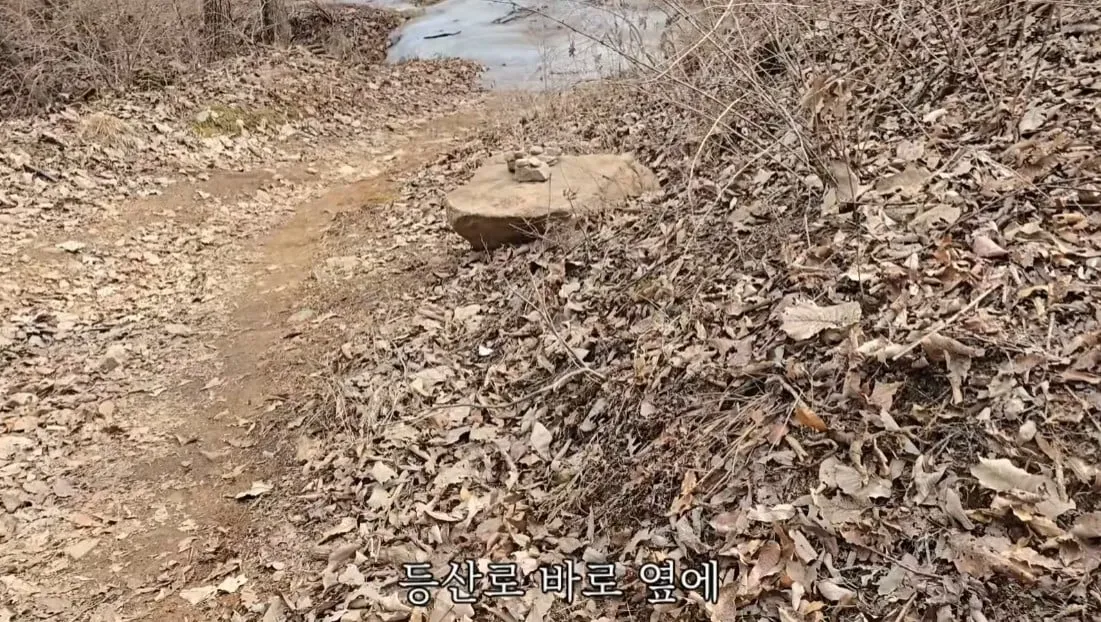 동네 산책로에서 주을수 있는 것들