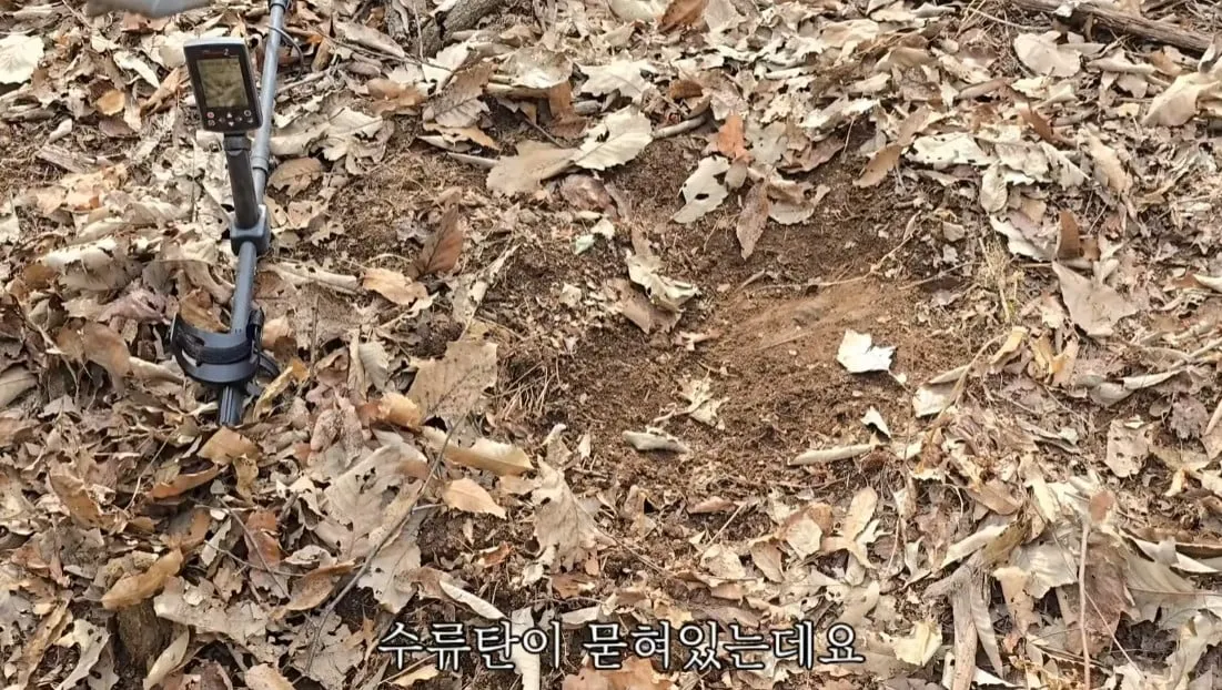 동네 산책로에서 주을수 있는 것들