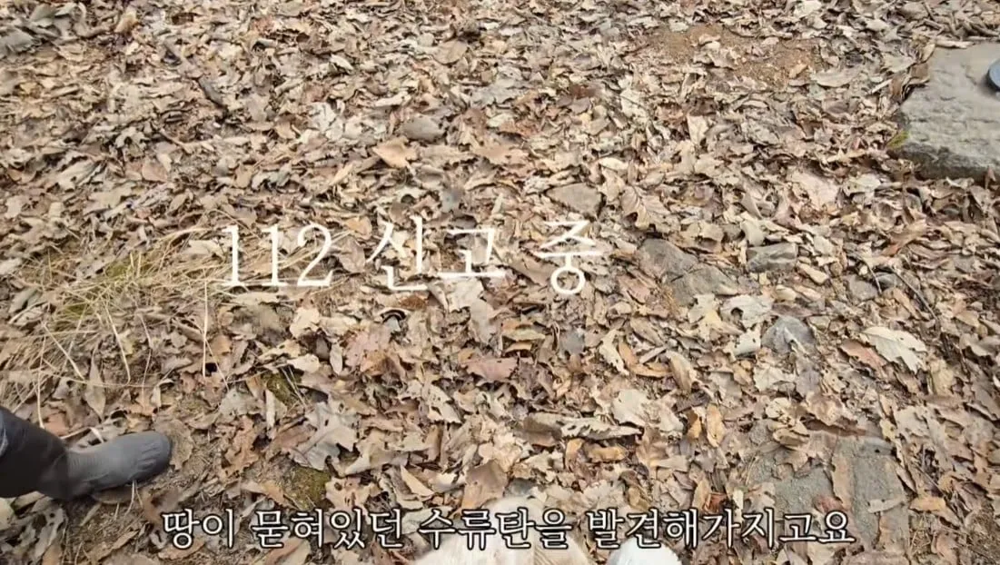 동네 산책로에서 주을수 있는 것들