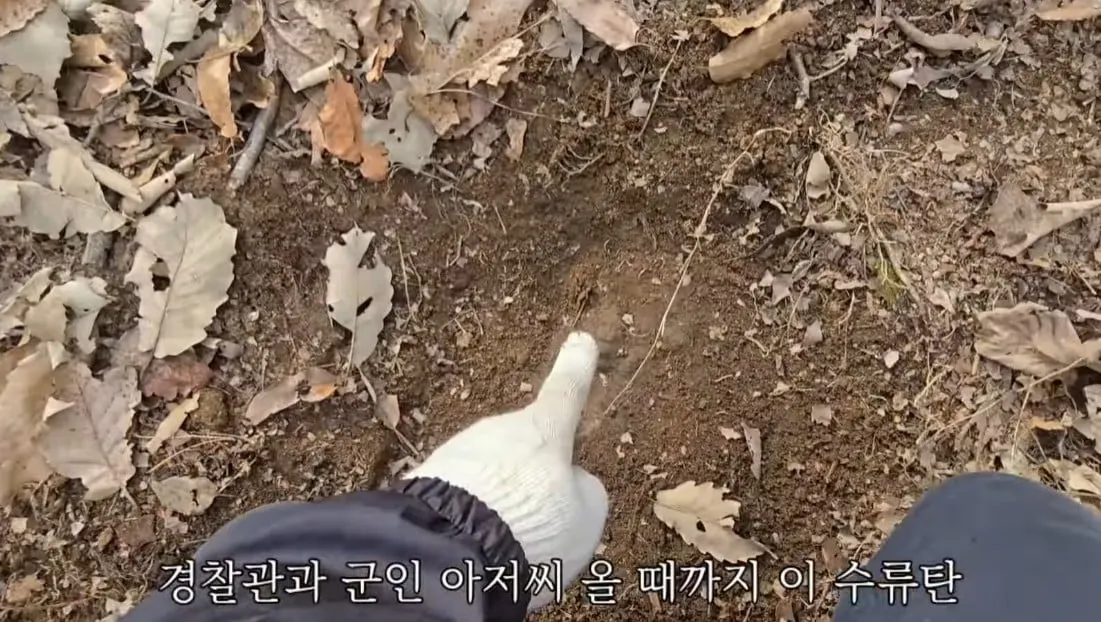 동네 산책로에서 주을수 있는 것들