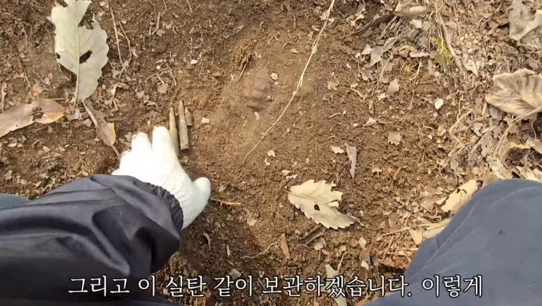 동네 산책로에서 주을수 있는 것들