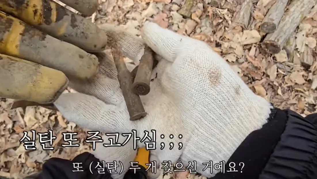 동네 산책로에서 주을수 있는 것들
