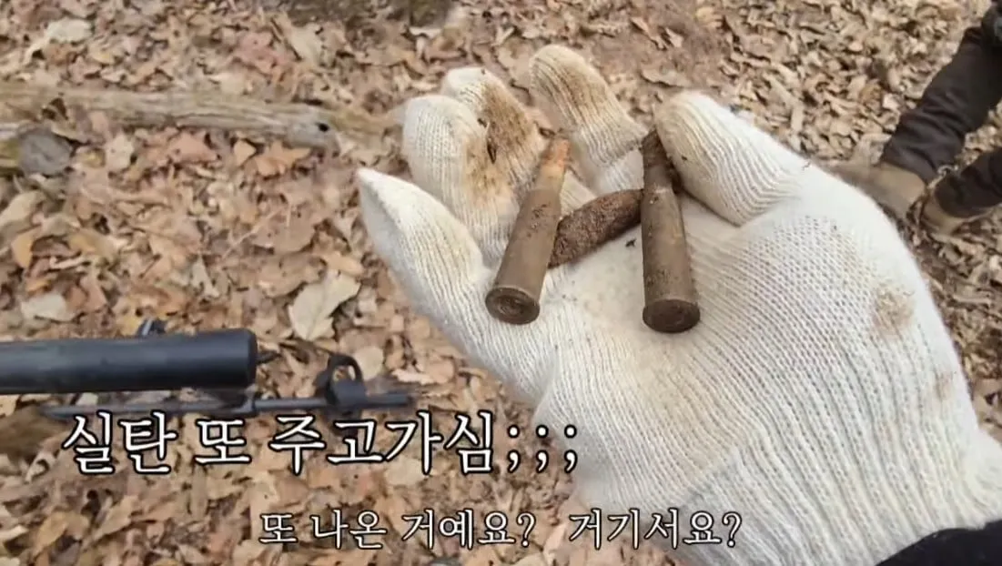 동네 산책로에서 주을수 있는 것들