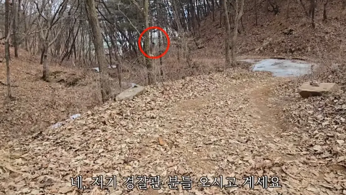 동네 산책로에서 주을수 있는 것들