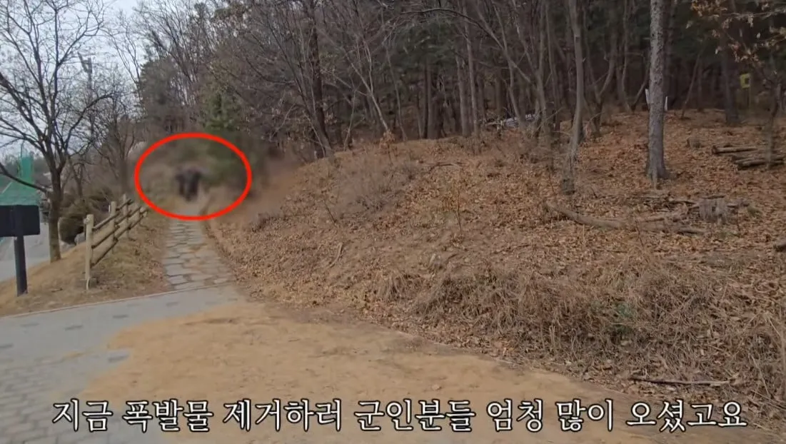 동네 산책로에서 주을수 있는 것들