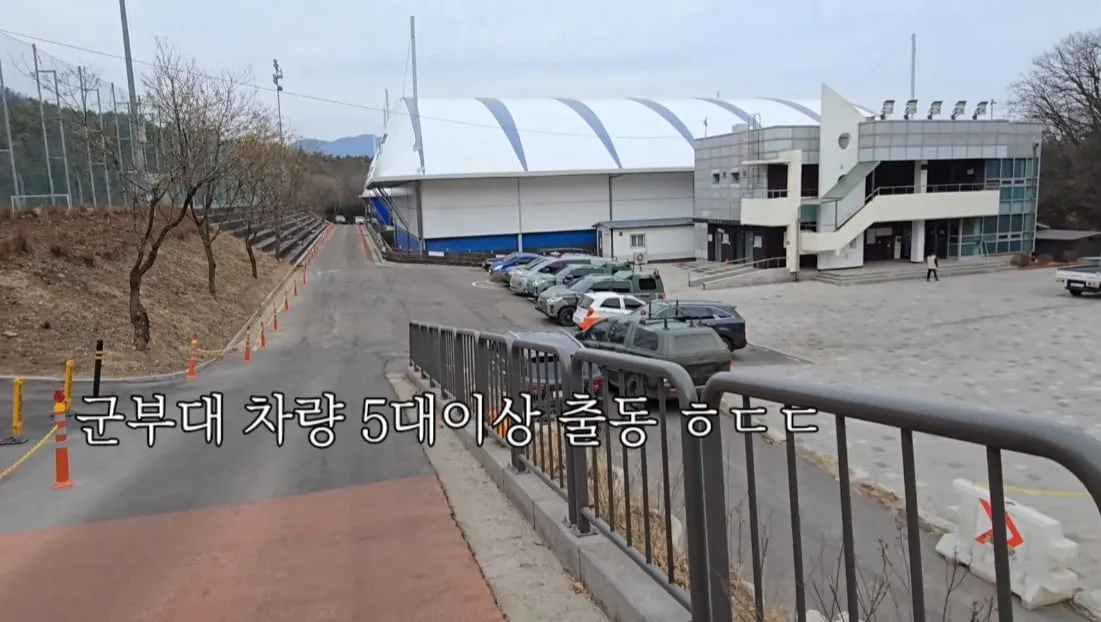 동네 산책로에서 주을수 있는 것들