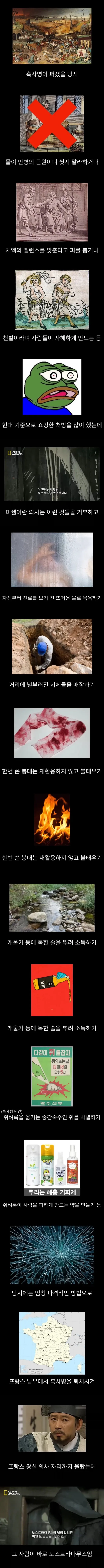 프랑스에서 흑사병을 퇴치시킨 전설의 의사
