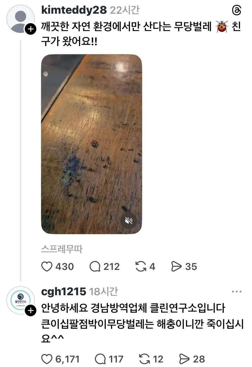 냉혹한 sns 홍보의 세계.jpg