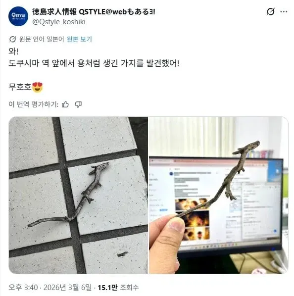 새끼 용을 포획한 일본인.jpg