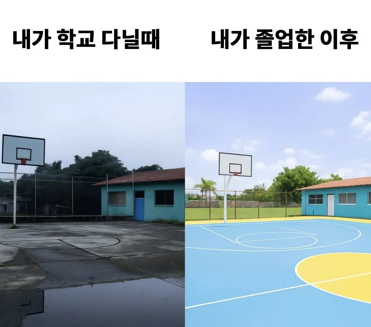 내가 다닌 학교 특징