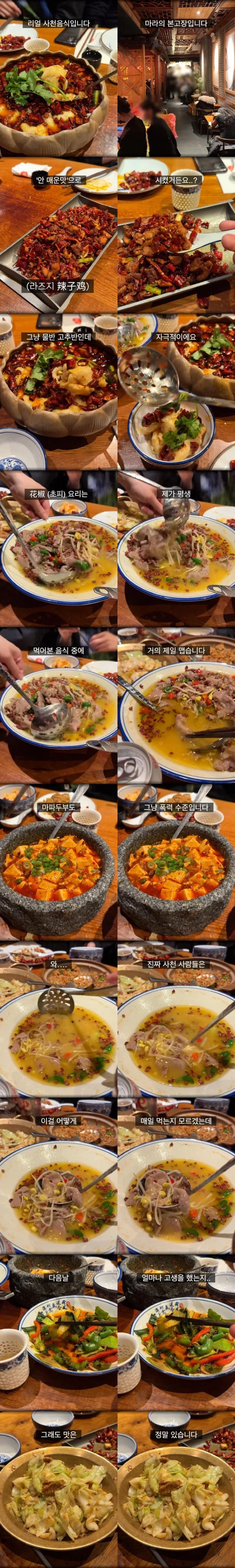 매운맛의 수준이 다르다는 중국 사천 음식