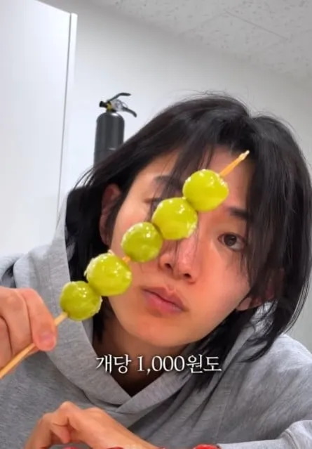 탕후루의 재료 원가는 얼마일까