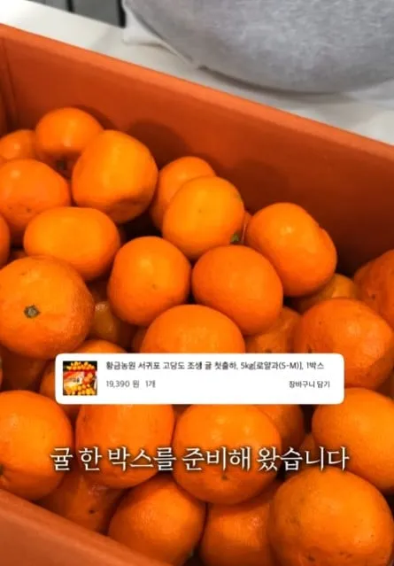 탕후루의 재료 원가는 얼마일까