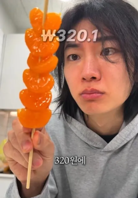 탕후루의 재료 원가는 얼마일까