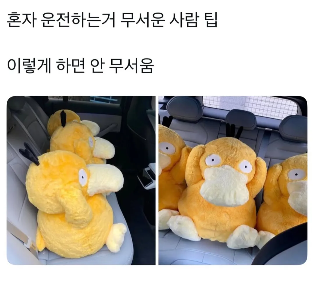 초보운전 꿀팁.jpg