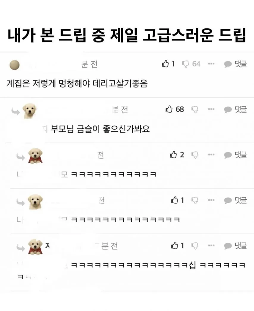 내가 본 드립 중 제일 고급스러운 드립 ㅋㅋㅋㅋ
