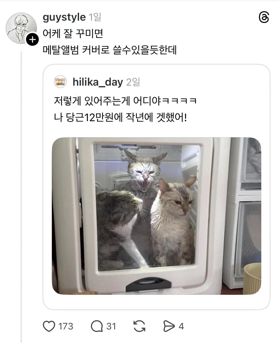 드라이룸에 갇힌 고양이들.jpg