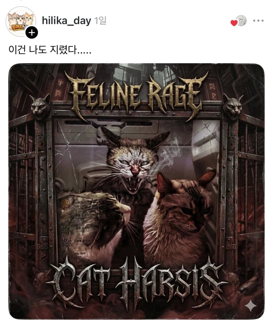 드라이룸에 갇힌 고양이들.jpg