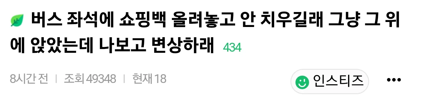 버스 자리 없는데 쇼핑백 안 치우길래 그냥 깔고 앉음 내 잘못임?