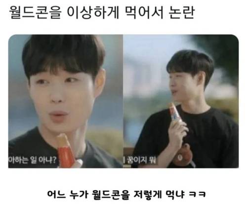 월드콘 논란