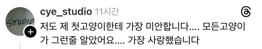 너무 착하고 완벽했던 첫째 고양이