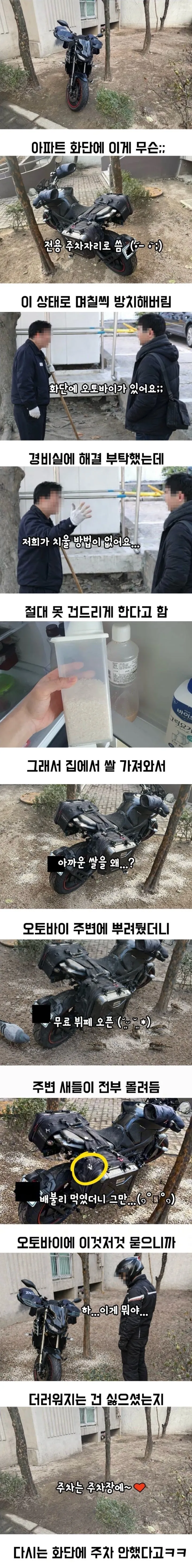 아파트 화단에 주차한 오토바이의 최후.jpg