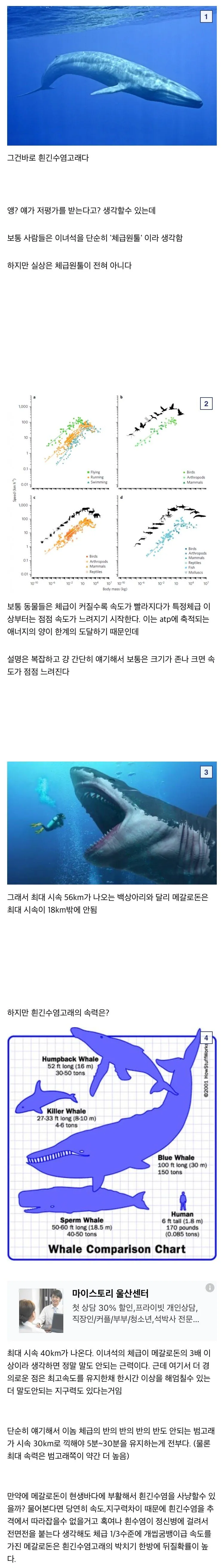의외로 저평가 받고있는 동물