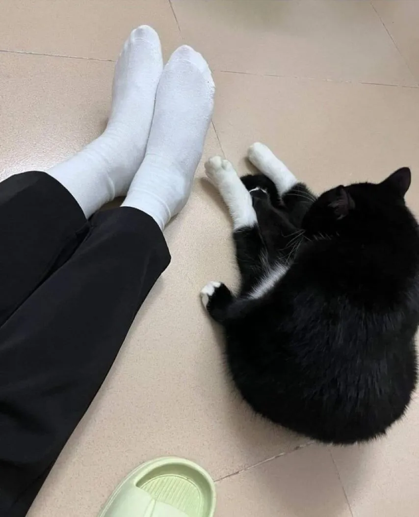 나랑 발 똑같아